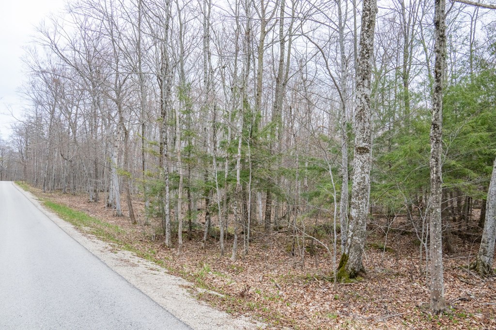 Lot 2 Cottage Road Ellison Bay, WI 54210 - Photo 25 of 30