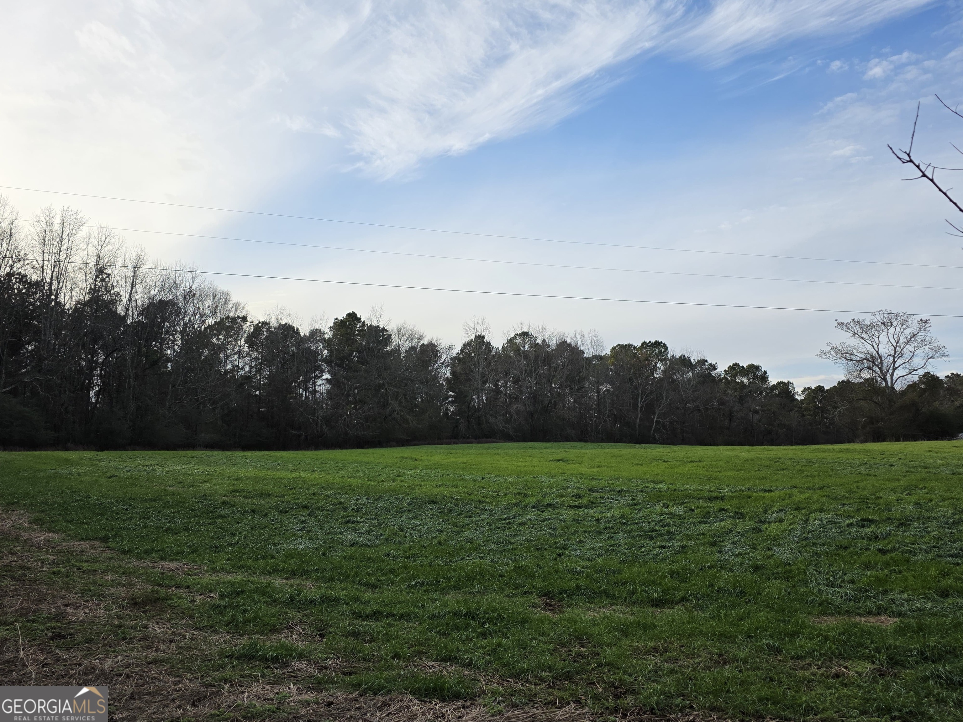 a view of grassy field with mountain in the background