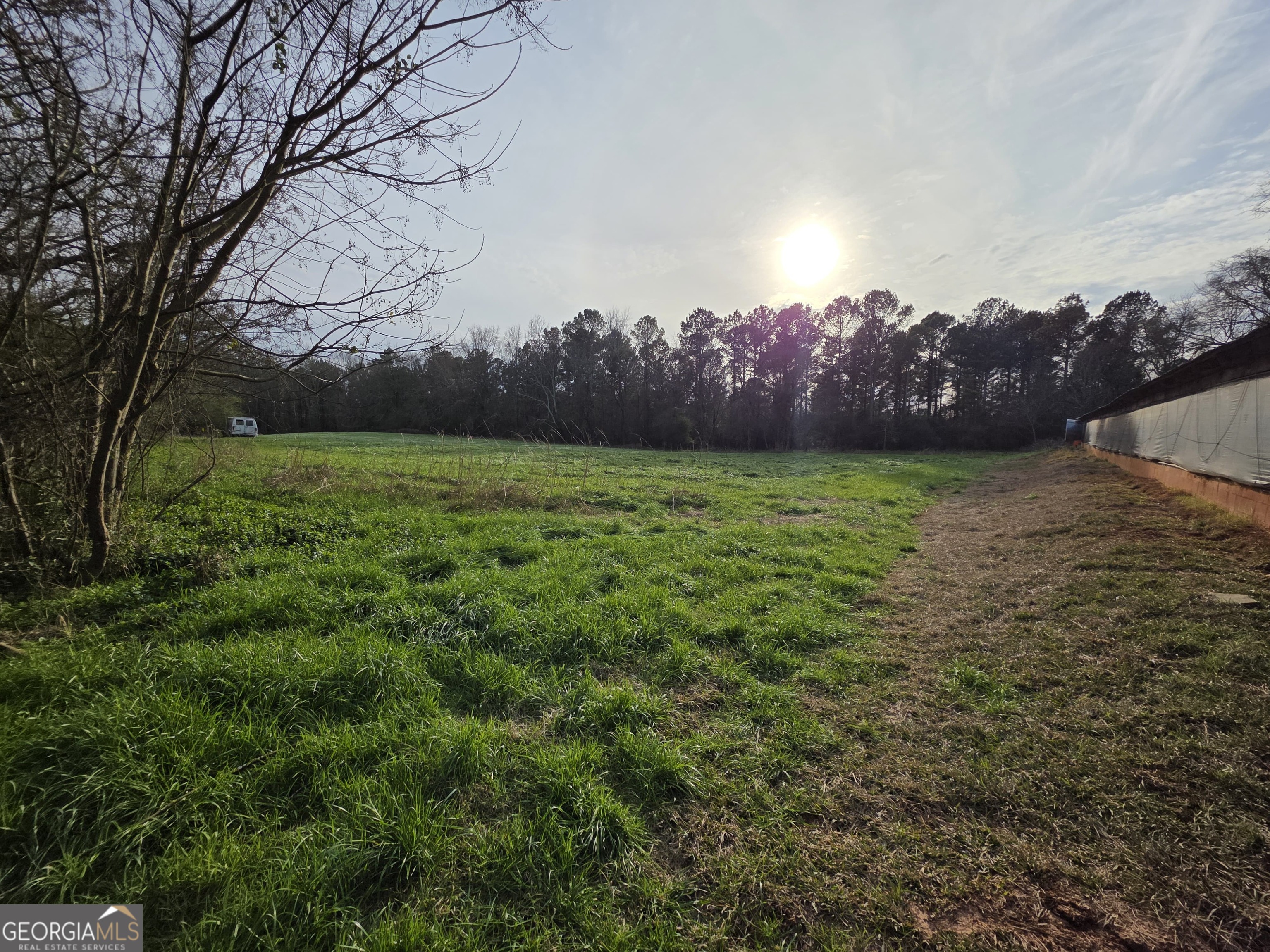 8-acres Mcmichael Road Monticello, GA 31064 - Photo 13 of 15 a view of outdoor space and yard
