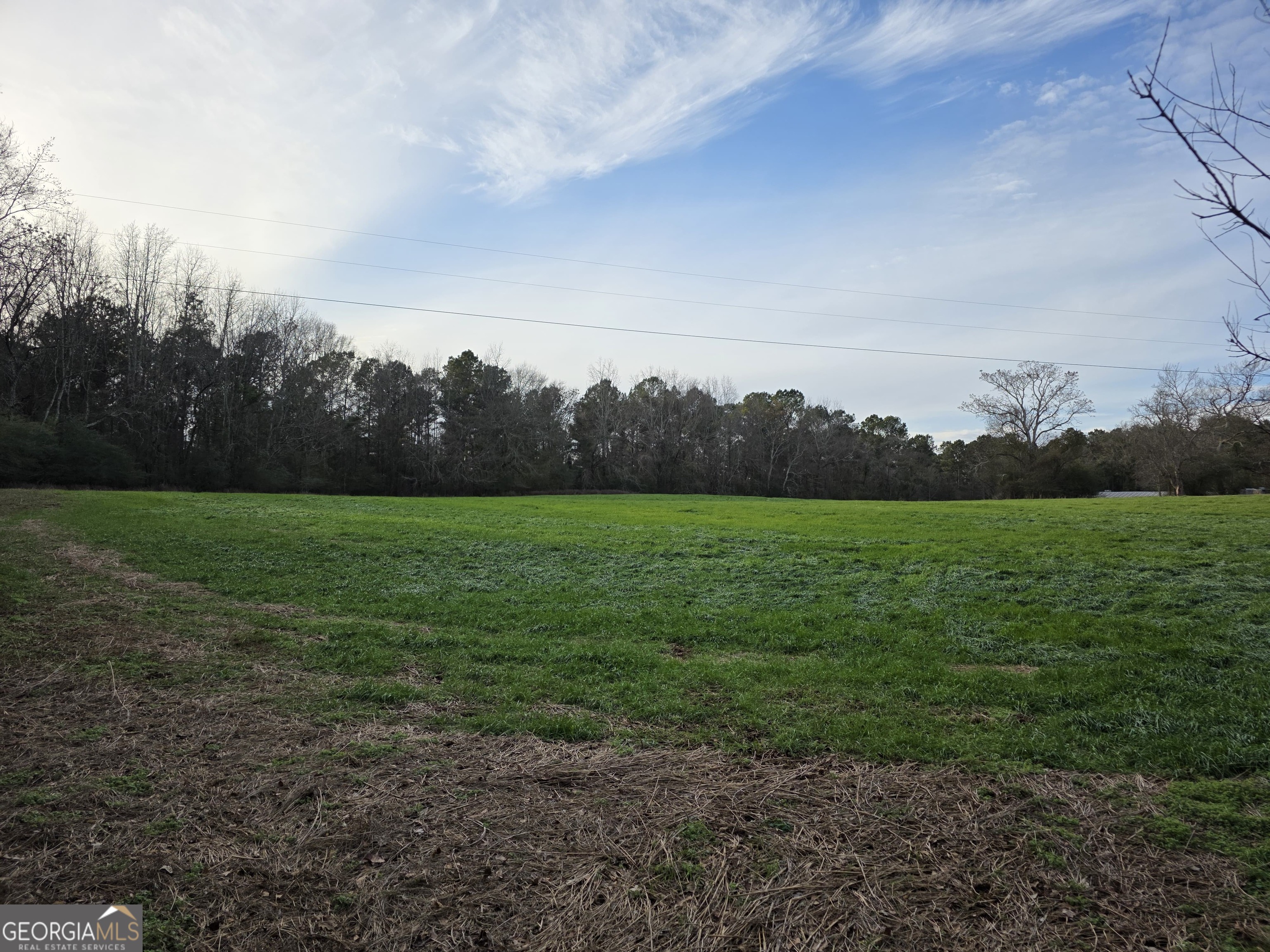 8-acres Mcmichael Road Monticello, GA 31064 - Photo 2 of 15 a view of a field with an trees in the background