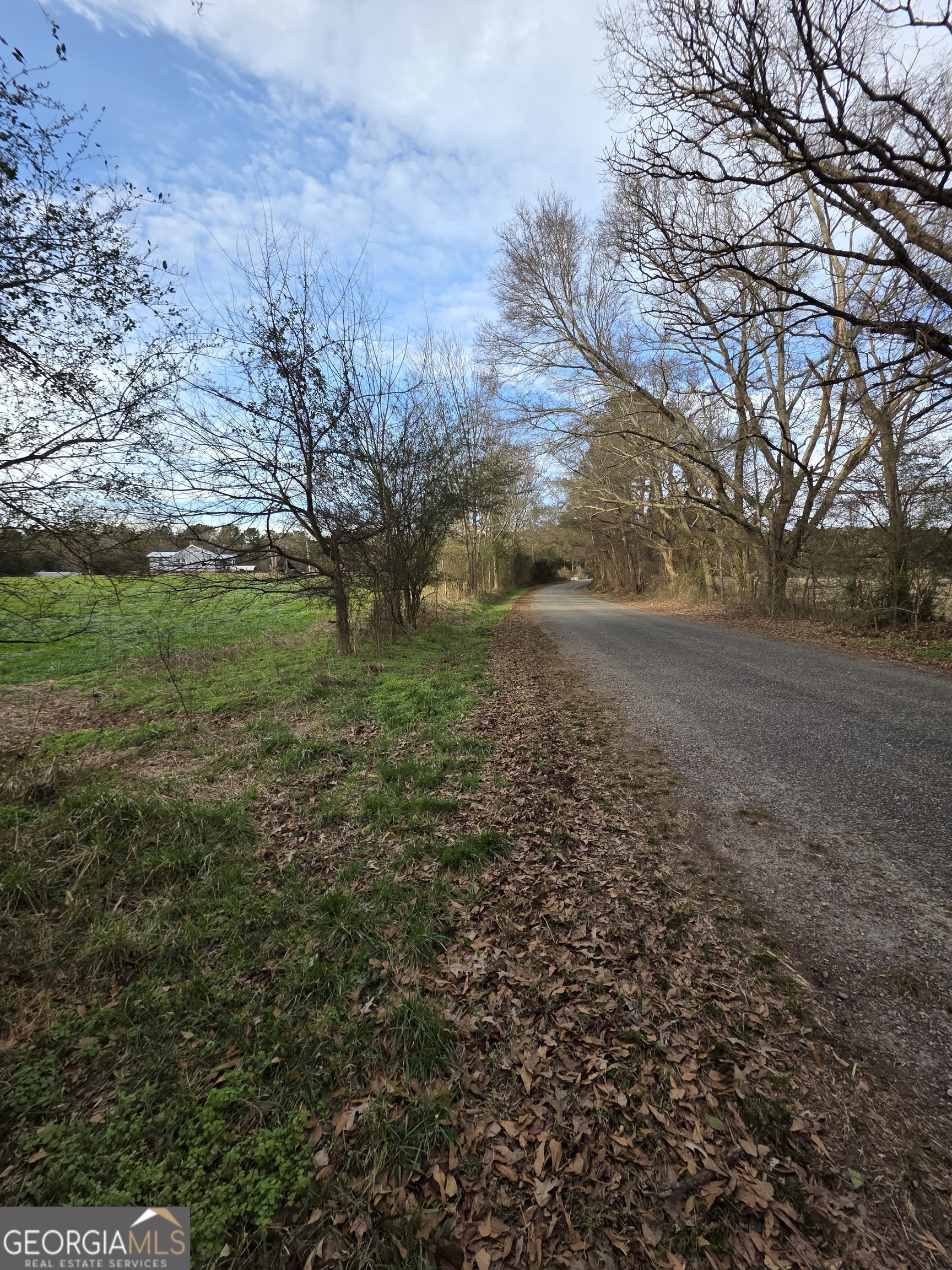 8-acres Mcmichael Road Monticello, GA 31064 - Photo 3 of 15