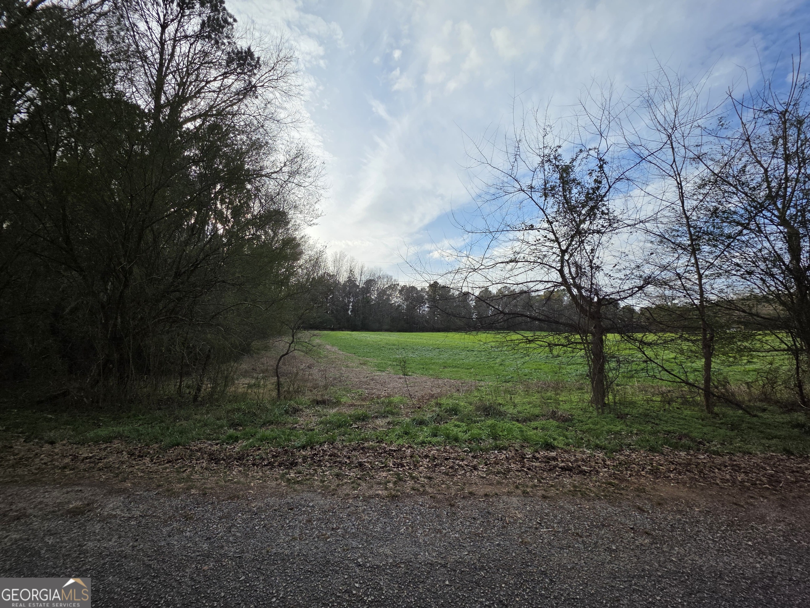 8-acres Mcmichael Road Monticello, GA 31064 - Photo 5 of 15 a view of a park