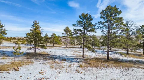 a view of a yard with a tree