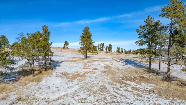 a view of a yard with trees and a wooden fence