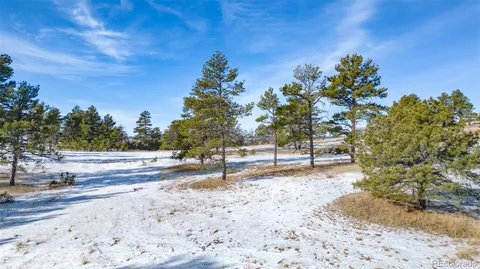 a view of a yard with trees