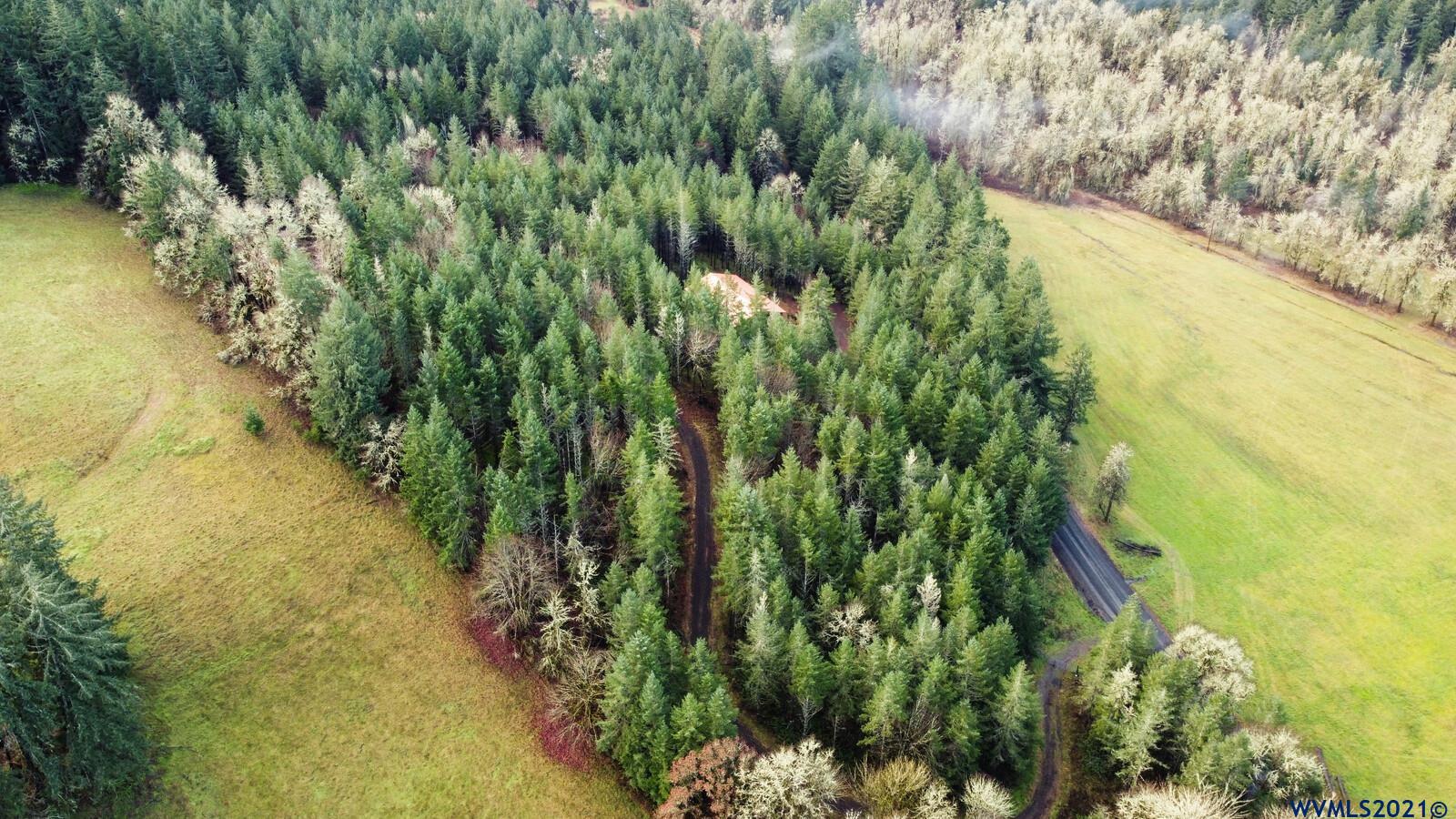 4736 Liberty Road Dallas, OR 97338 - Photo 5 of 21 a view of a garden with a lake