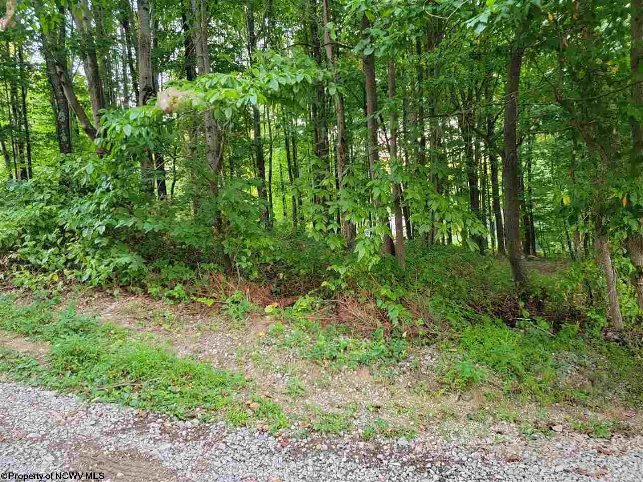 Alexander Road French Creek, WV 26218 - Photo 5 of 6 Gallery Image 5