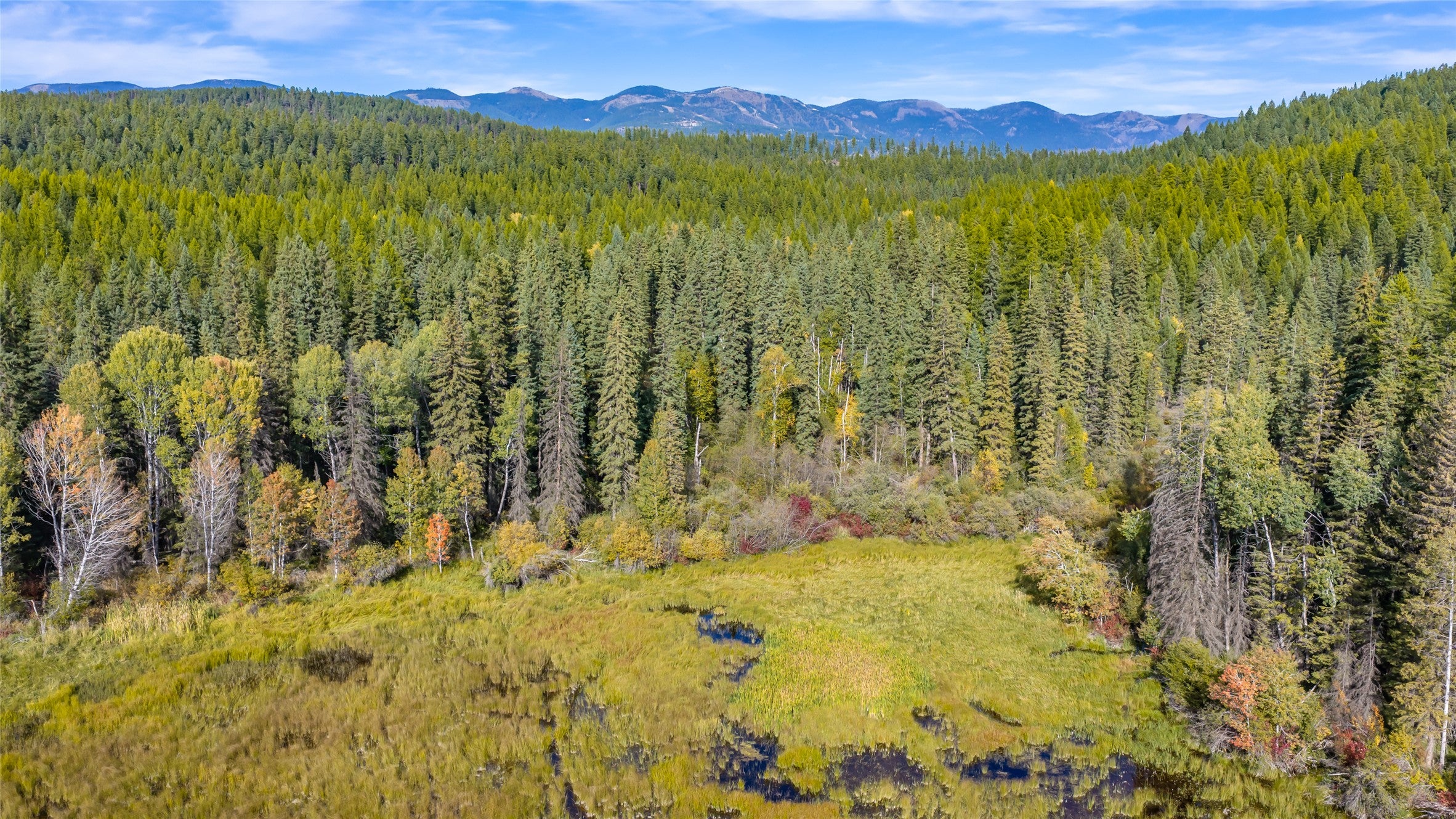 675 Beaver Lake Road Whitefish, MT 59937 - Photo 8 of 79 Gallery Image 8