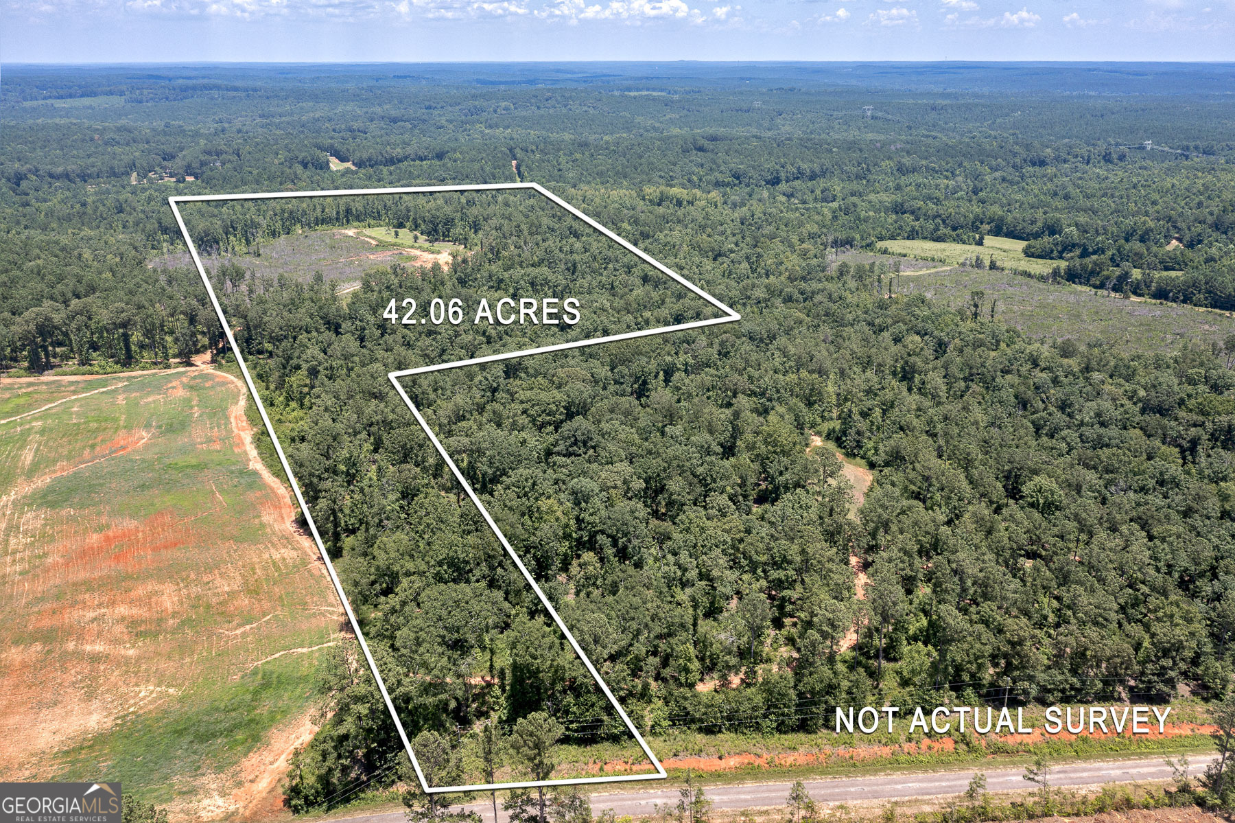 Lot 4 Mayfield Road Flovilla, GA 30216 - Photo 3 of 9 a view of a field with an ocean view