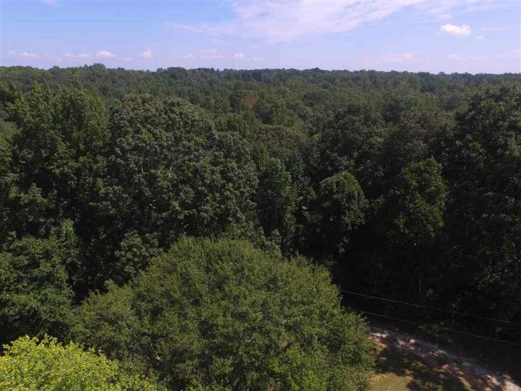 53 East Darby Road Taylors, SC 29687 - Photo 4 of 12 Gallery Image 4