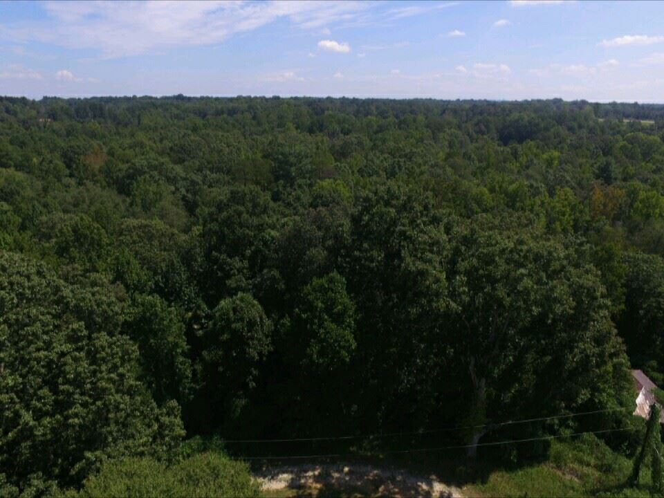53 East Darby Road Taylors, SC 29687 - Photo 5 of 12 Gallery Image 5