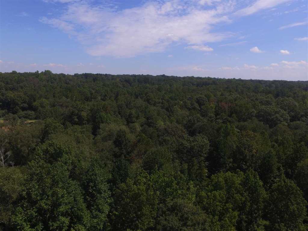 53 East Darby Road Taylors, SC 29687 - Photo 10 of 12 Gallery Image 10