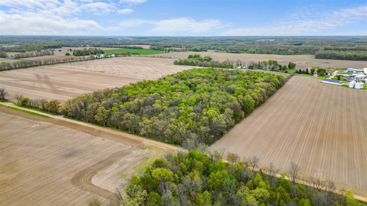 12215 Goffe Road Jonesville, MI 49250 - Photo 34 of 64