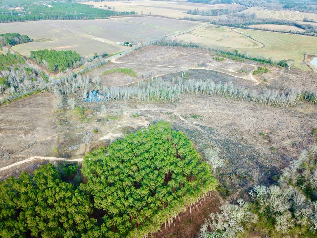 20-acres Hudson Road Columbia, AL 36319 - Photo 25 of 40