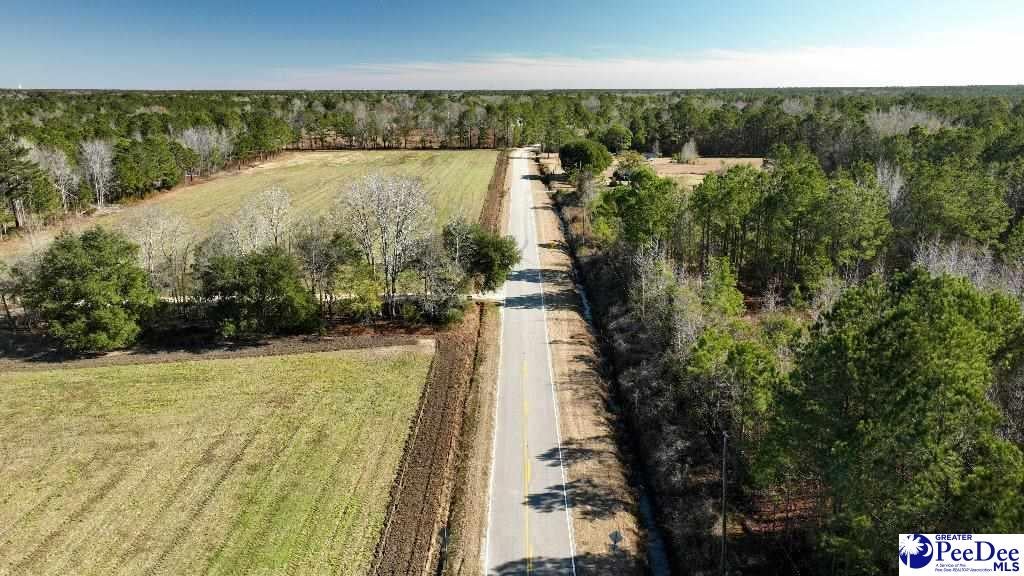 0 Gibson Road Greeleyville, SC 29056 - Photo 6 of 9 Gallery Image 6
