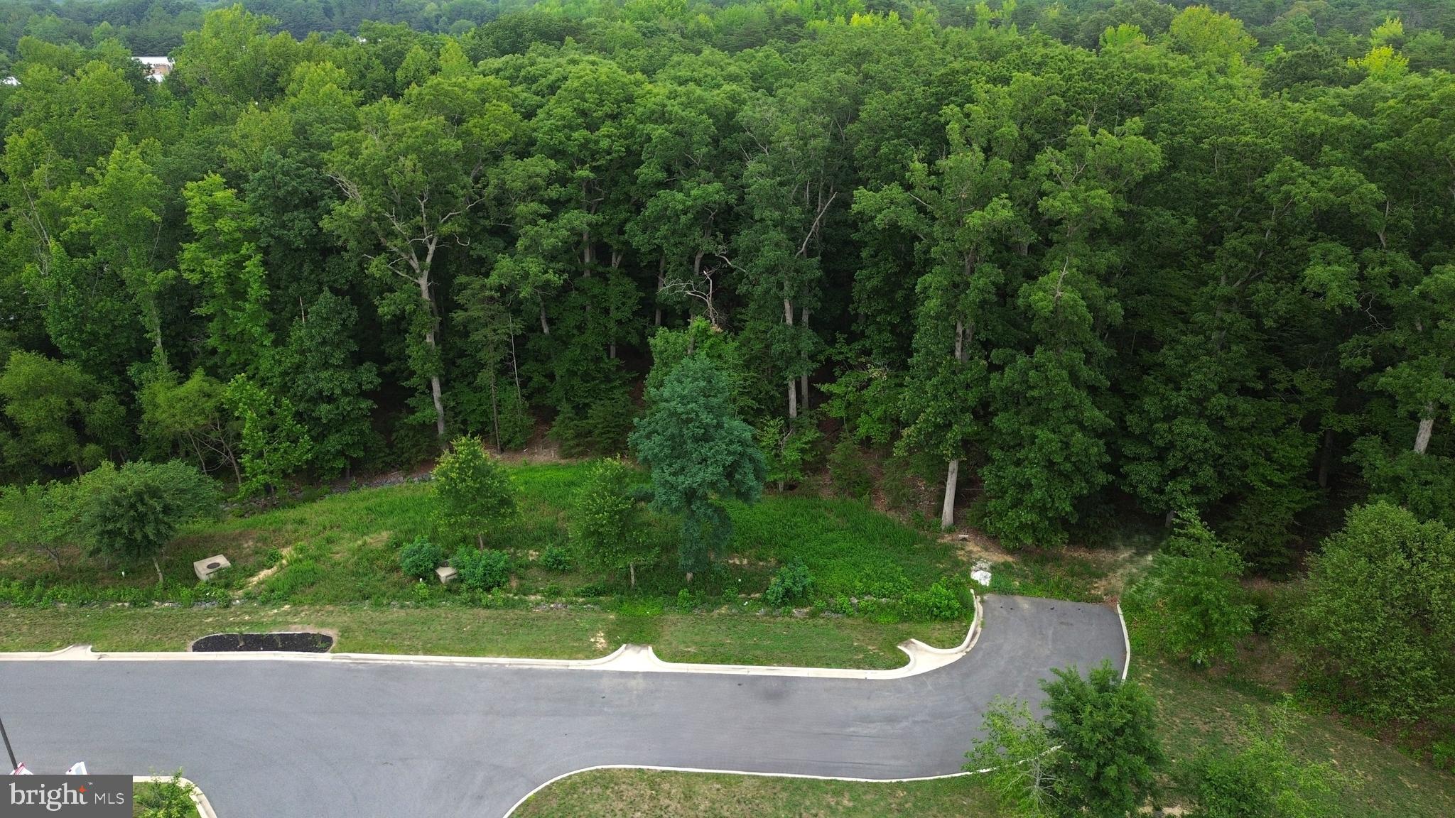 Millstone Landing Road Lexington Park, MD 20653 - Photo 1 of 13 Lot View - Paved & Curbed Entrance