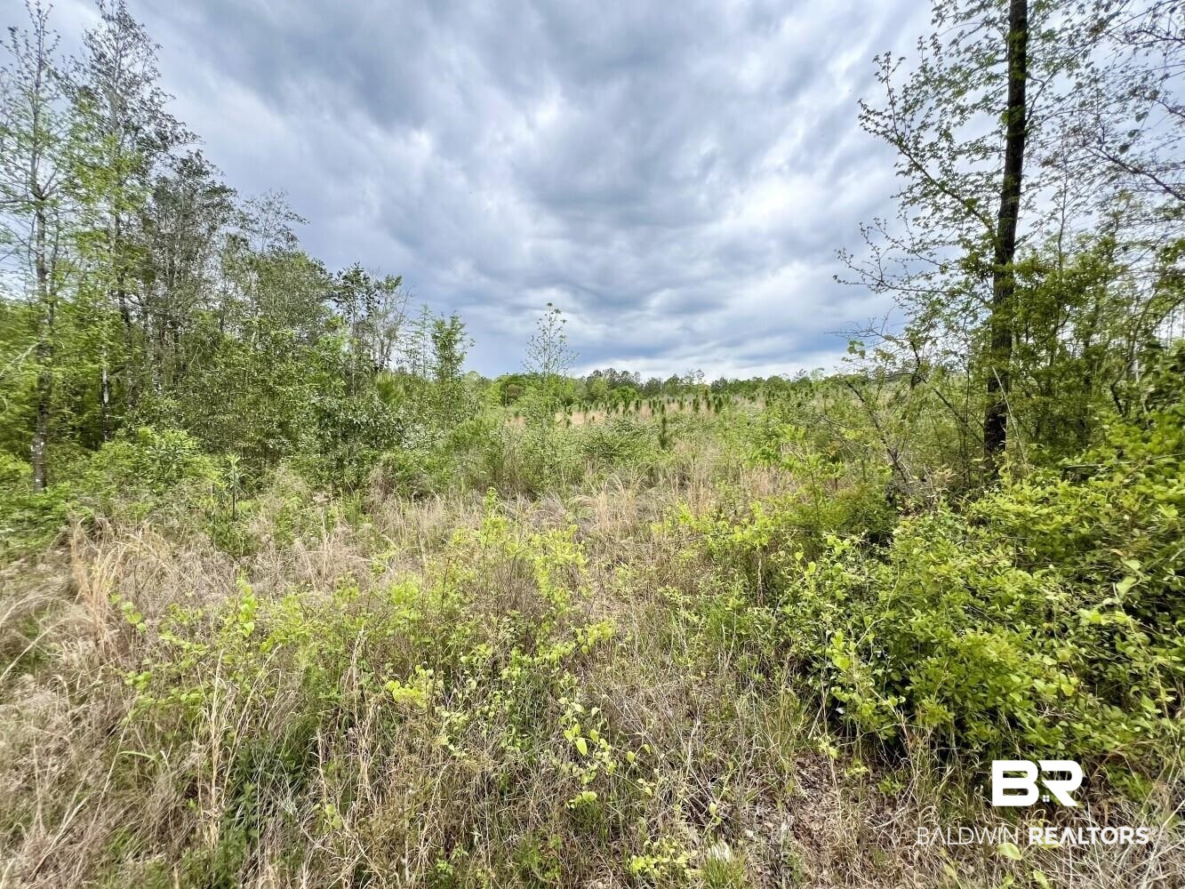 0 Pine Street St. Stephens, AL 36569 - Photo 13 of 26