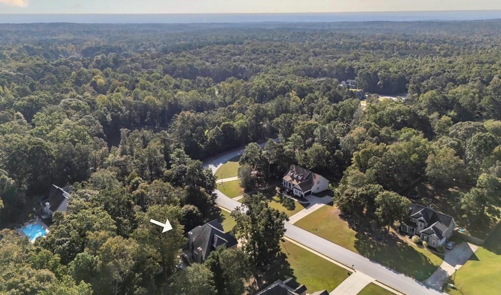 8680 Copperridge Drive Winston, GA 30187 - Photo 7 of 58 an aerial view of city and mountain