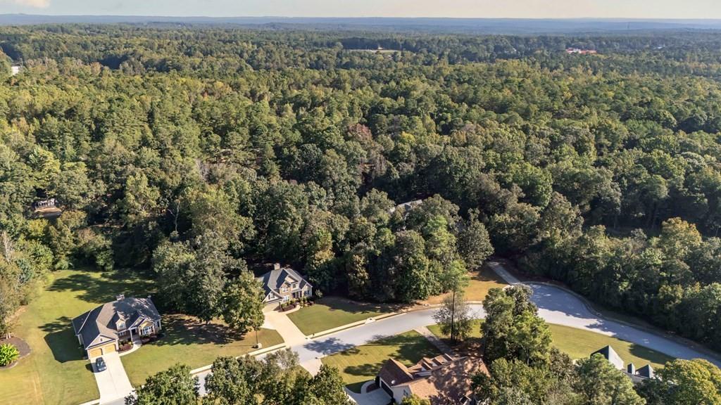 8680 Copperridge Drive Winston, GA 30187 - Photo 8 of 58 an aerial view of a house with a yard