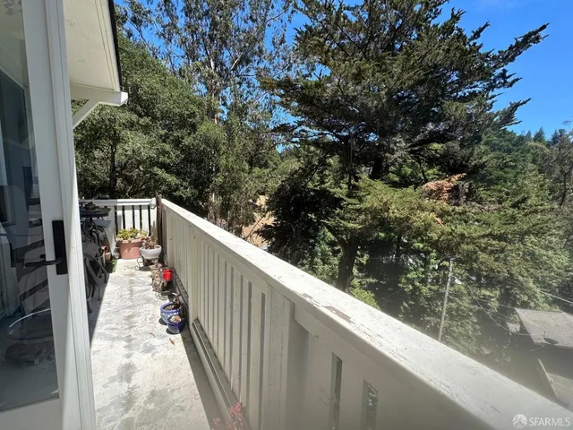 a view of a tree in a yard