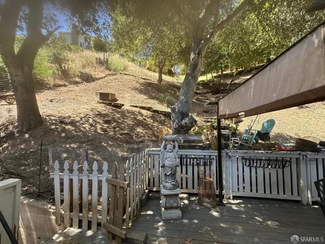 a view of a yard with plants