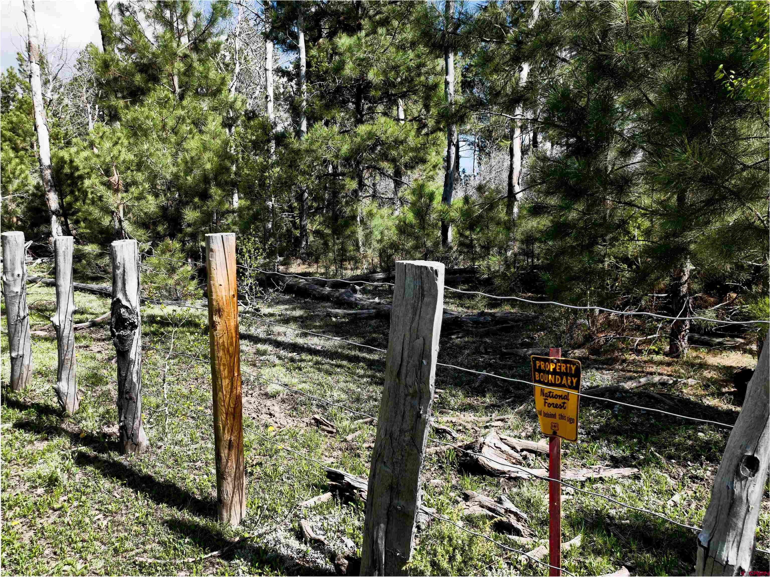 44500 Ditches Road Mancos, CO 81328 - Photo 6 of 31 Gallery Image 6