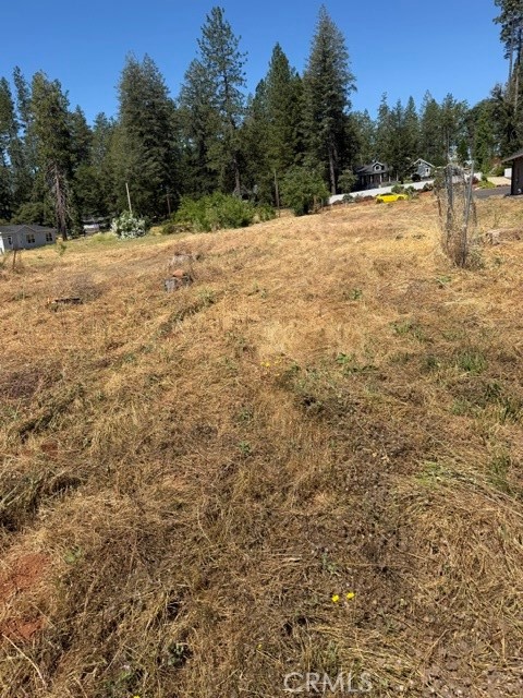 7170 Clark Road Paradise, CA 95969 - Photo 6 of 10