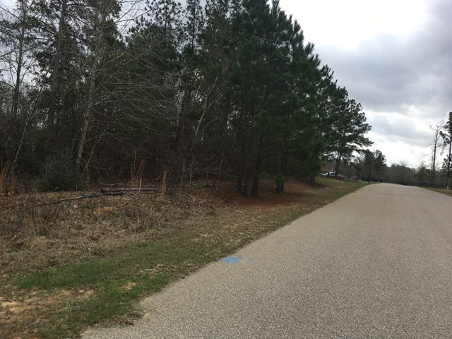 3029 Old Lodge Road Hephzibah, GA 30815 - Photo 1 of 6 Main View