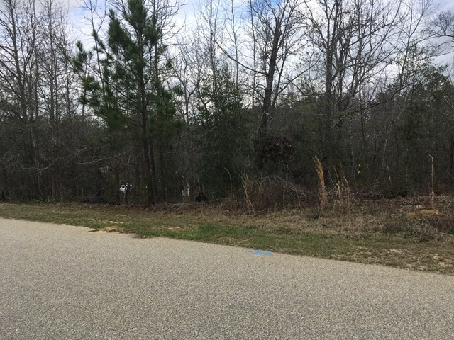 3029 Old Lodge Road Hephzibah, GA 30815 - Photo 2 of 6 Gallery Image 2
