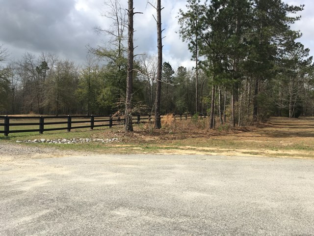3029 Old Lodge Road Hephzibah, GA 30815 - Photo 4 of 6 Gallery Image 4