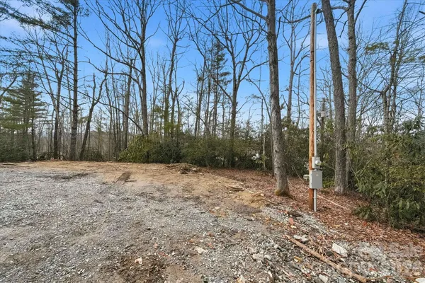 a backyard of a house with large trees