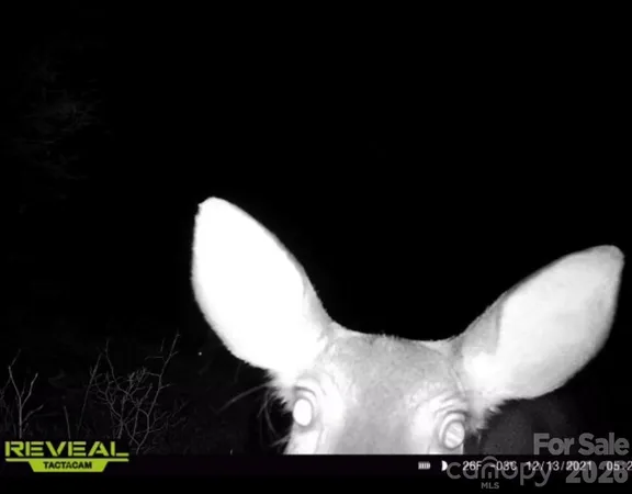 a view of a backyard of a house