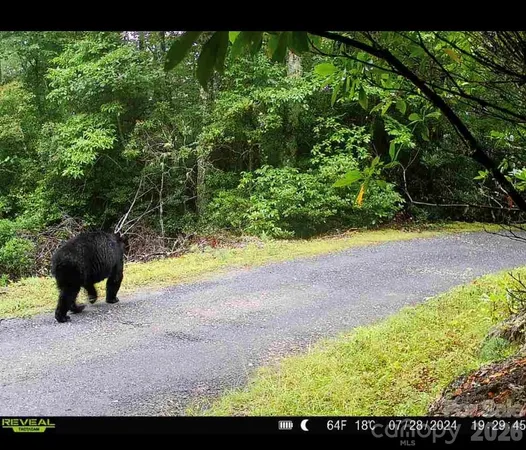 a view of swimming pool from a yard