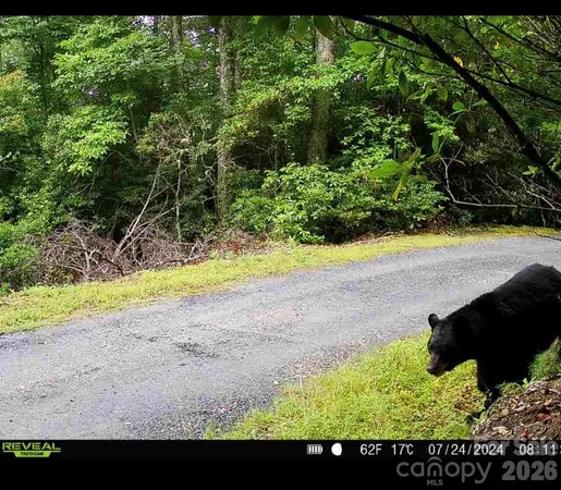 a view of a backyard of a house