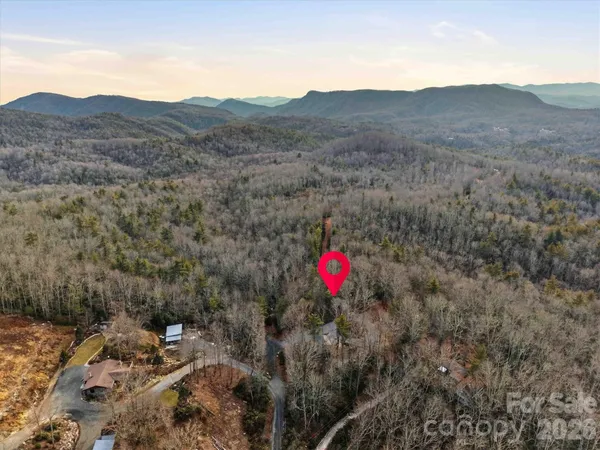 a view of a dry back yard