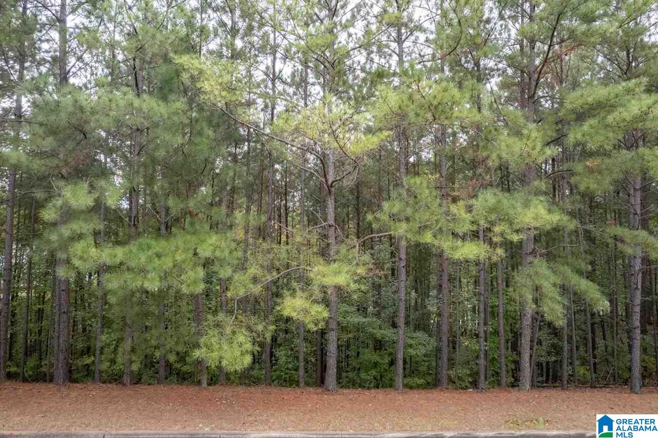8048 Castlehill Road, Unit 8 Birmingham, AL 35242 - Photo 6 of 12