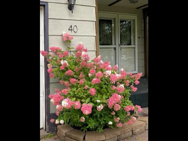 $270,000 | 40 Marks Drive, Silver Bay, MN 55614