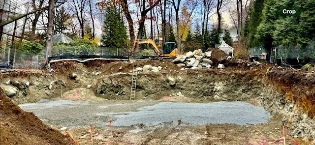 a view of a yard with trees