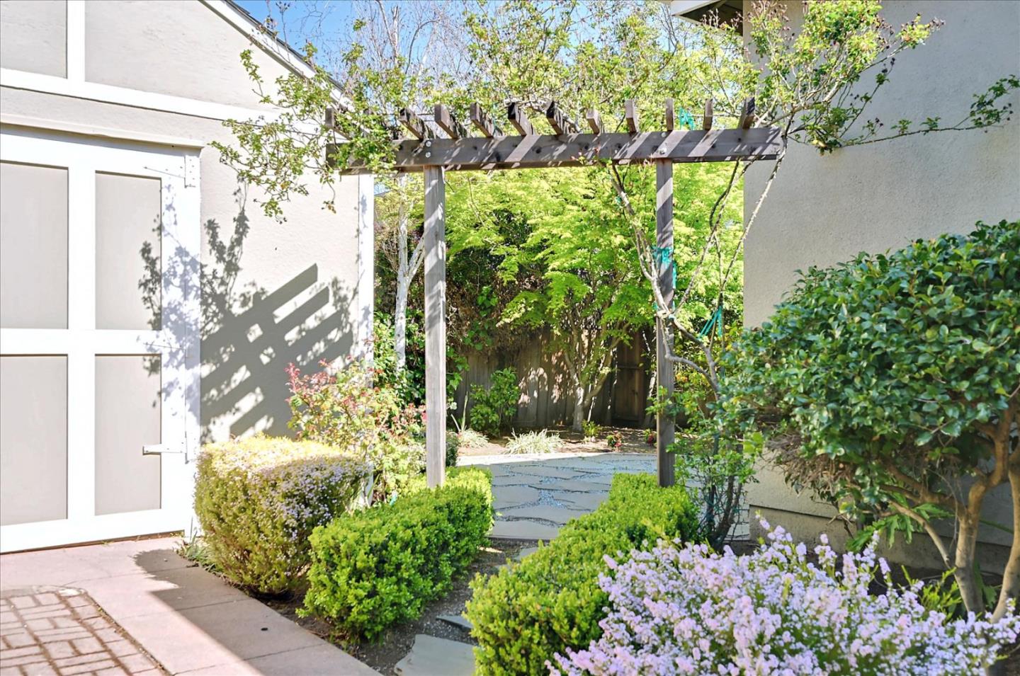 22 Engle Road San Mateo, CA 94402 - Photo 31 of 42 a view of a yard with plants and large trees