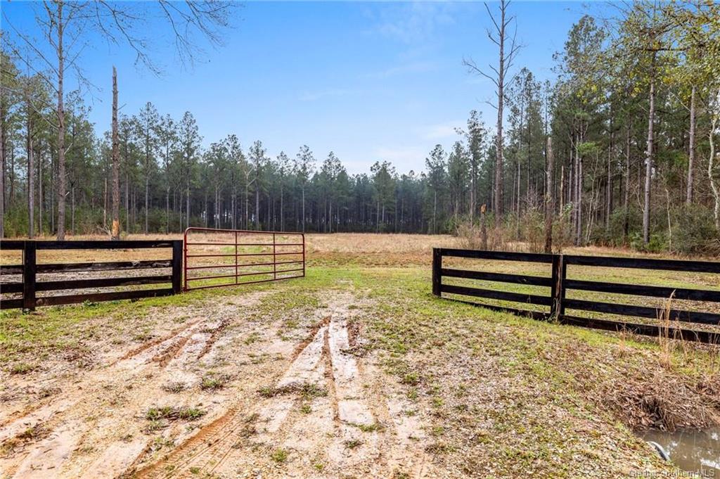 20191 Abie Fontenot Road Iowa, LA 70647 - Photo 4 of 13