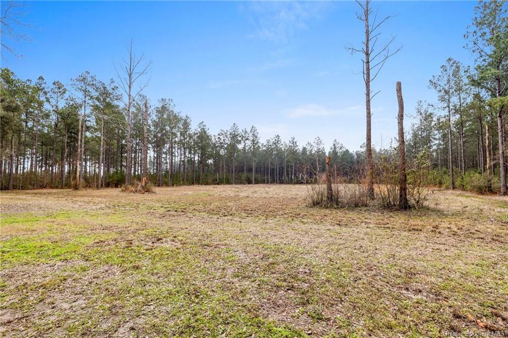 20191 Abie Fontenot Road Iowa, LA 70647 - Photo 5 of 13