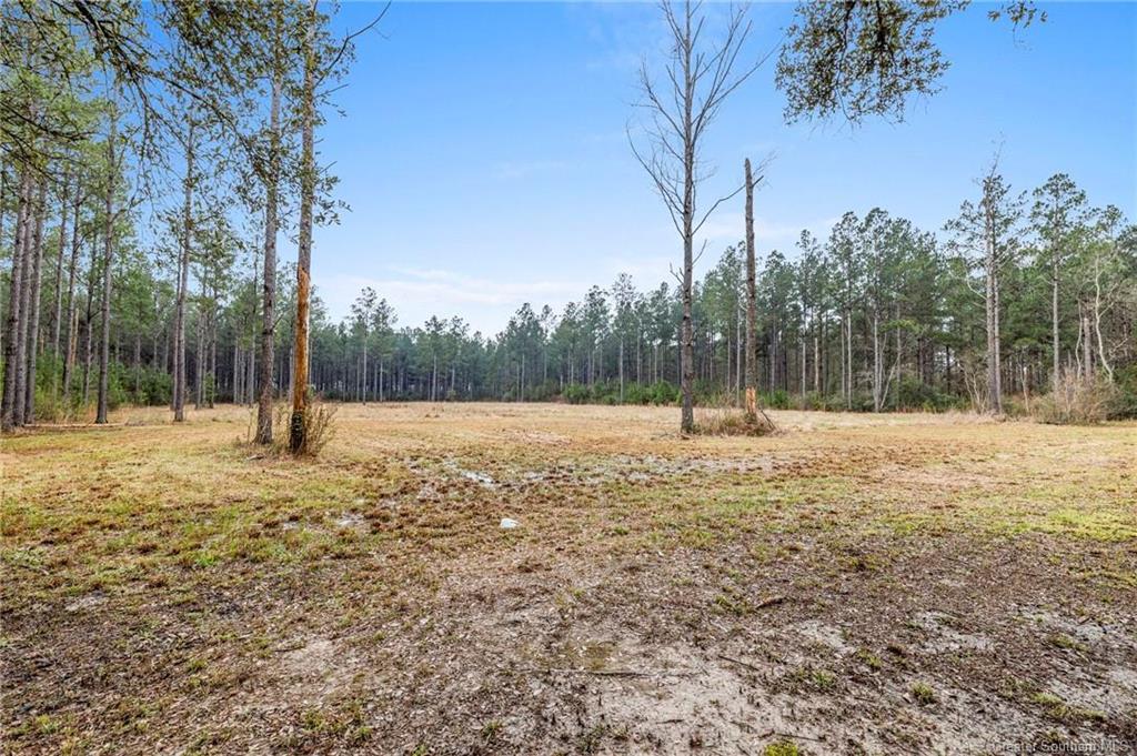 20191 Abie Fontenot Road Iowa, LA 70647 - Photo 6 of 13