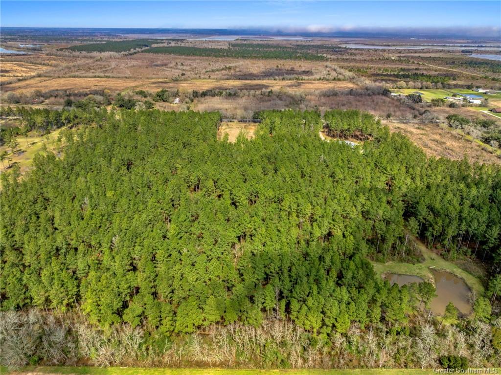 20191 Abie Fontenot Road Iowa, LA 70647 - Photo 10 of 13