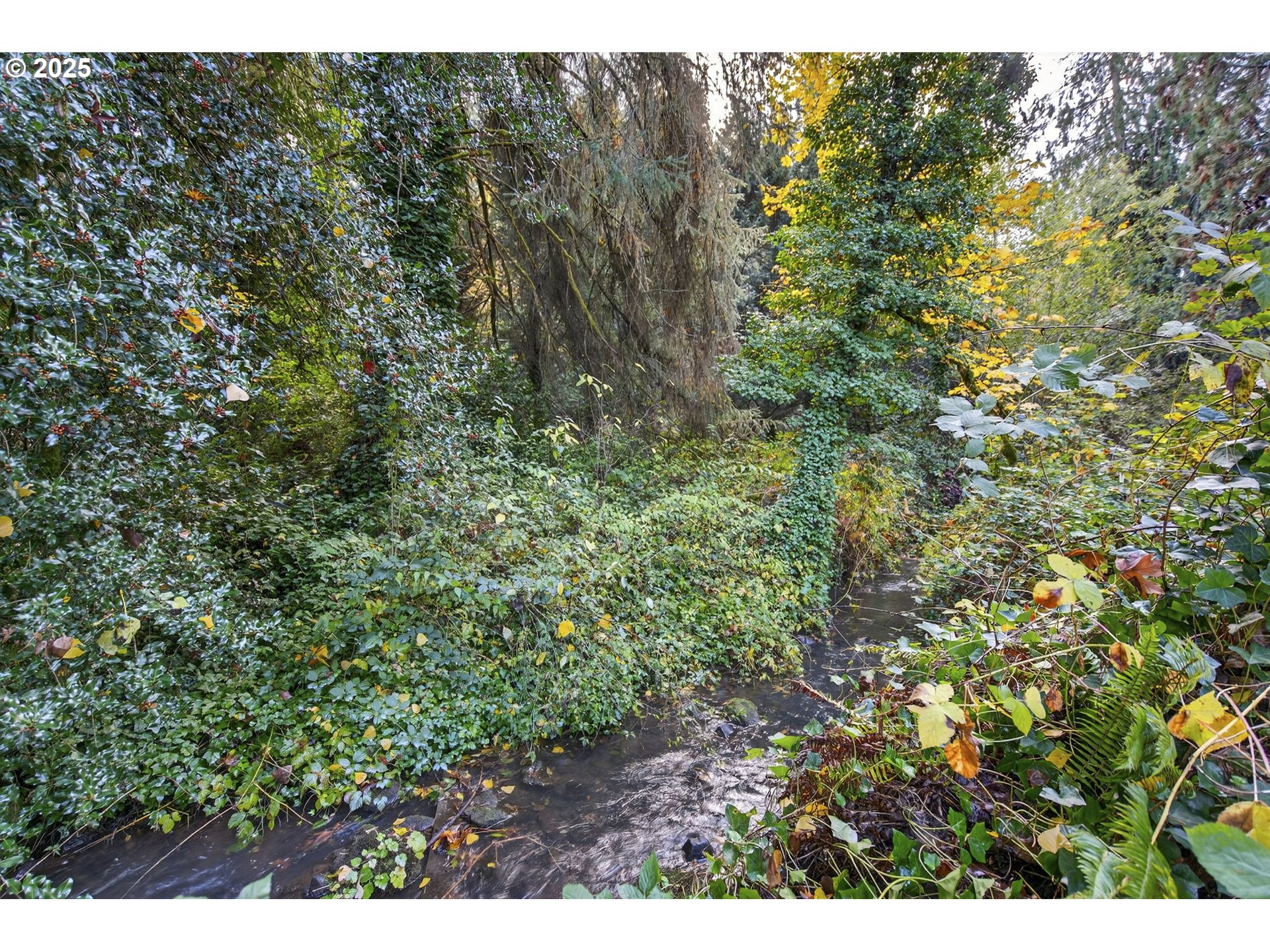 22415 South Saling Road Estacada, OR 97023 - Photo 38 of 46 Creek