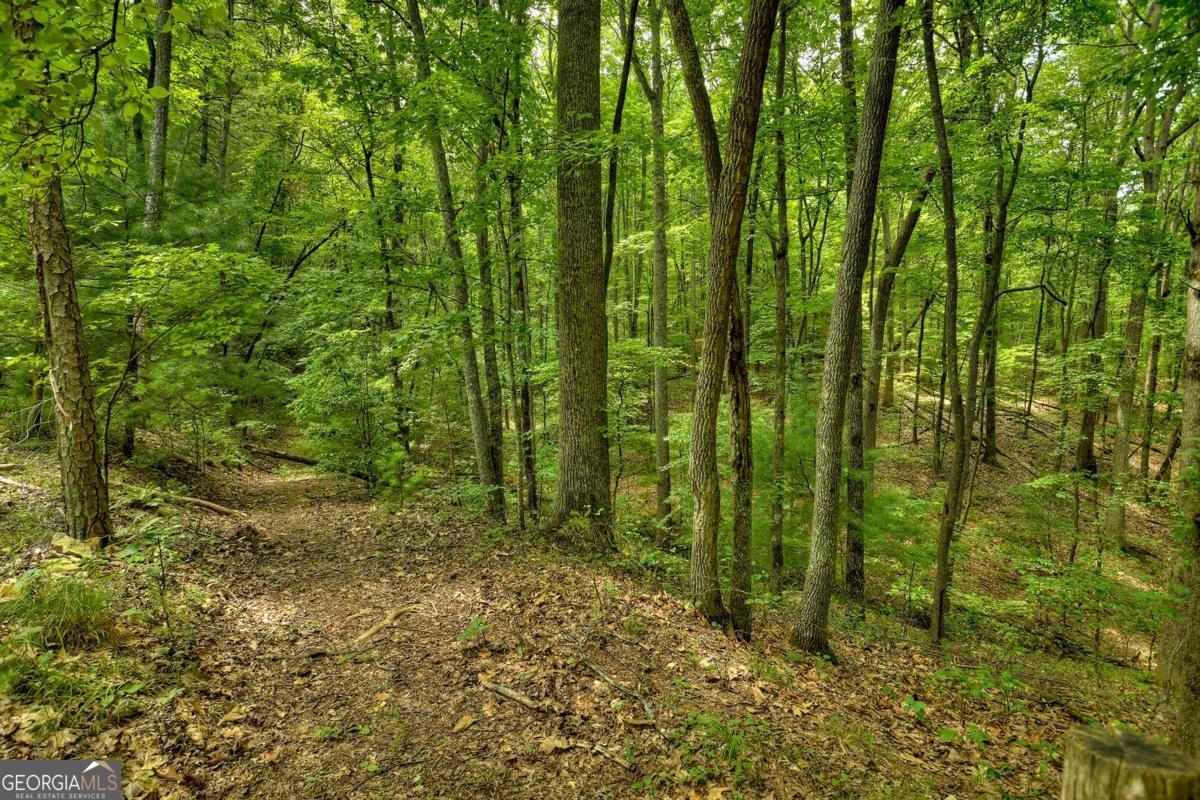7.89-ac Laurel Springs Road Mineral Bluff, GA 30559 - Photo 11 of 30
