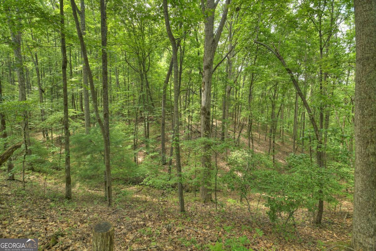 7.89-ac Laurel Springs Road Mineral Bluff, GA 30559 - Photo 12 of 30
