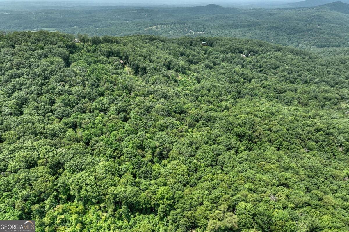 7.89-ac Laurel Springs Road Mineral Bluff, GA 30559 - Photo 17 of 30