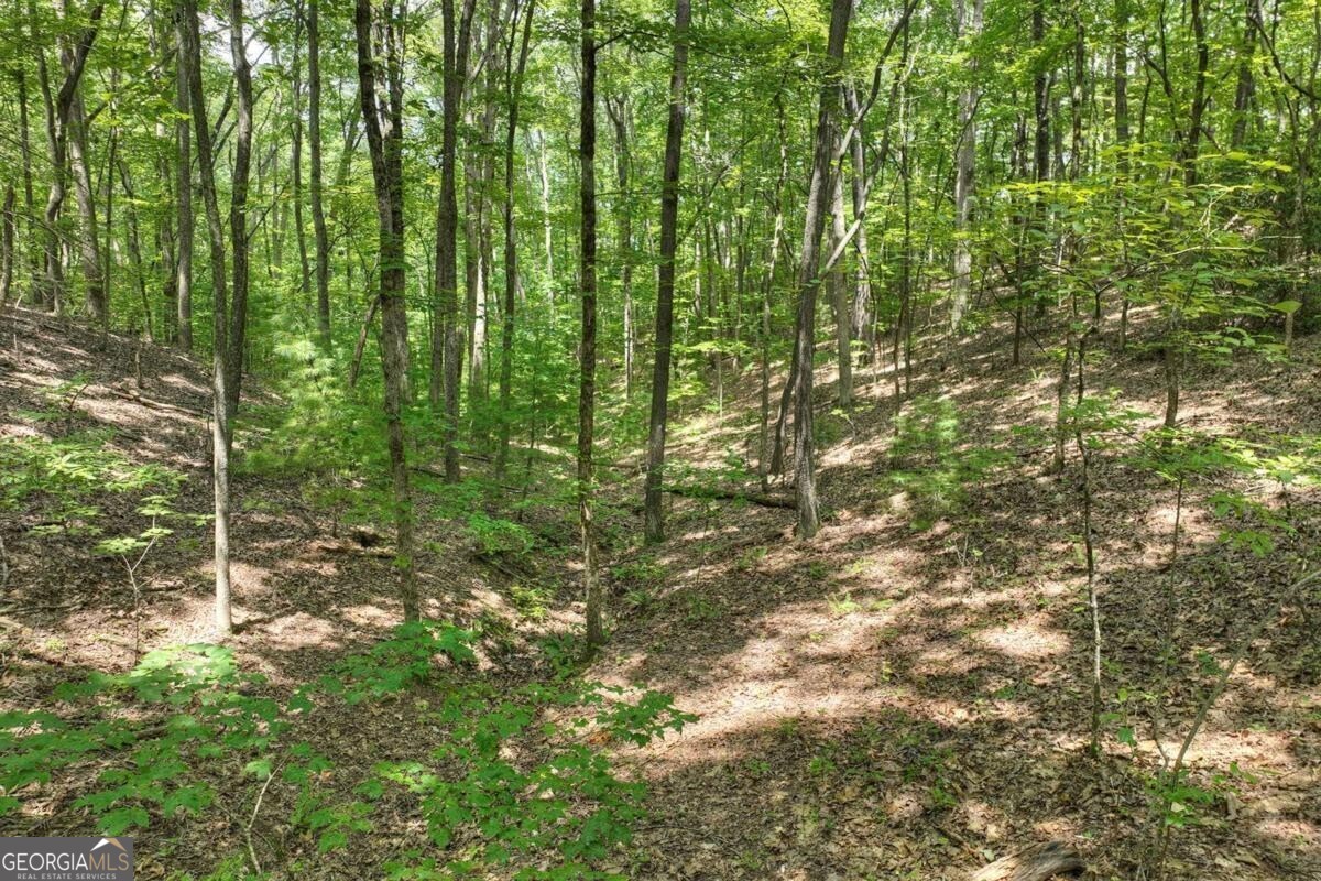 7.89-ac Laurel Springs Road Mineral Bluff, GA 30559 - Photo 19 of 30