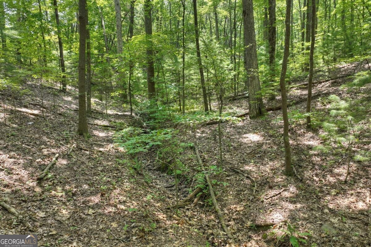 7.89-ac Laurel Springs Road Mineral Bluff, GA 30559 - Photo 20 of 30
