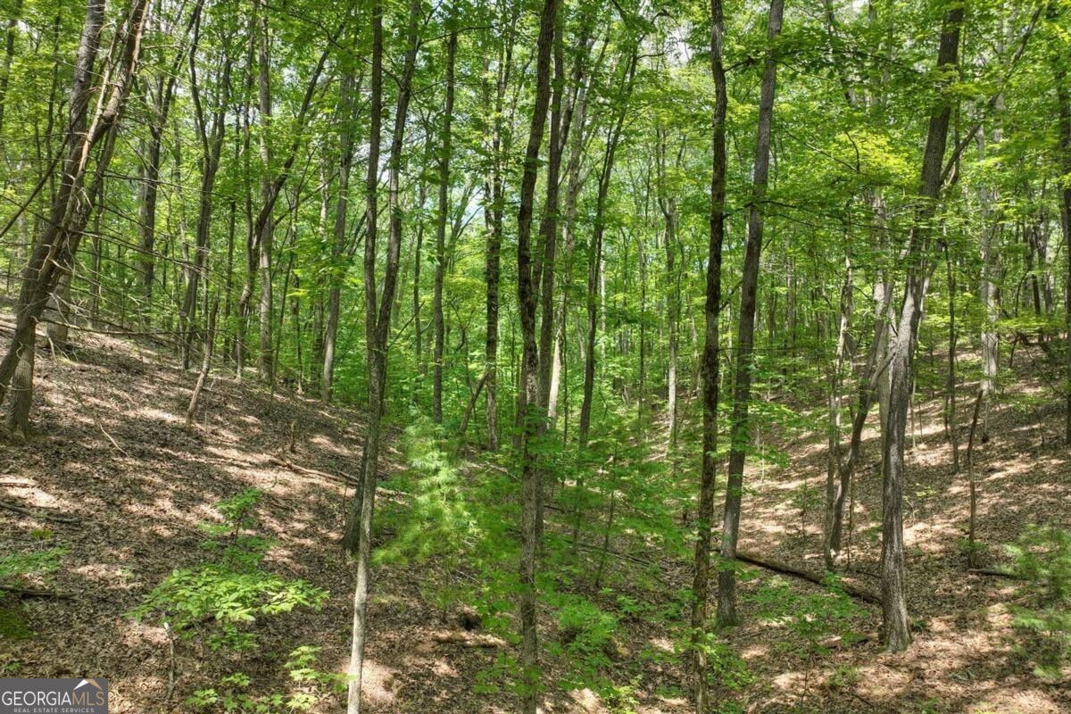 7.89-ac Laurel Springs Road Mineral Bluff, GA 30559 - Photo 23 of 30